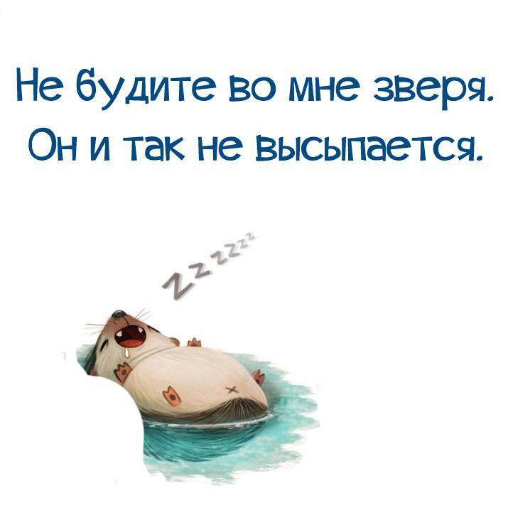 Кто разбудил скрипа в первое утро. Хочу выспаться. Разбудите меня. Мечтаю выспаться. Разбудил во мне зверя он не высыпается.