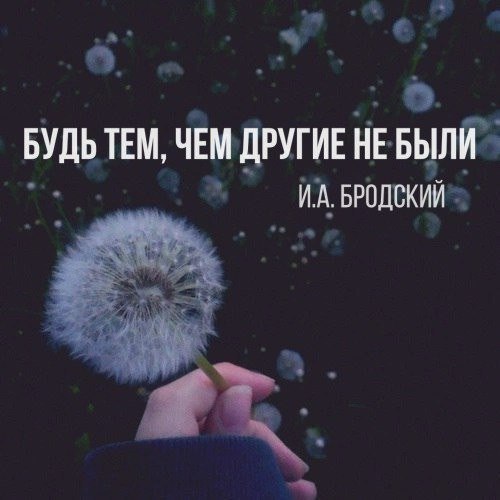   - 21  2016  17:44 - 4