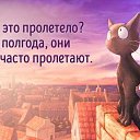 ���� ����, ������, 50 ��� - ��������� 1 ���� 2016 � ������ ������ ��������