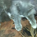 ���� ������, �����, 52 ���� - ��������� 31 ������� 2016 � ������ ���� ����������