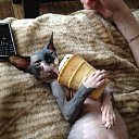 ���� *����***, ����������� - ��������� 29 ���� 2016 � ������ ������ ��������