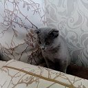 ���� Jupiter, ���������� - ��������� 24 ������ 2016 � ������ ���� ����������