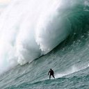 ���� ����, ������ - ��������� 31 ������� 2016 � ������ ���� ����������