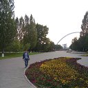 , , 41  -  21  2016   -2016