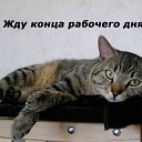 ���� ��������, ���������, 45 ��� - ��������� 18 ������� 2016 � ������ �������� ��������