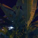 ���� Olqa, ����, 52 ���� - ��������� 2 ������� 2016 � ������ ���� ����������