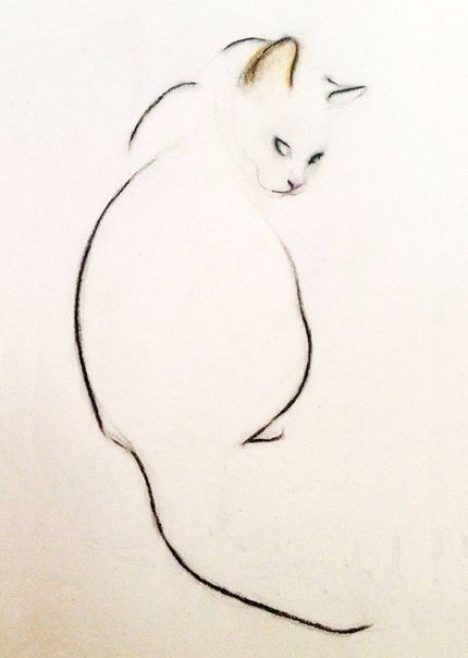   .  Kellas Campbell. - 5