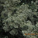 ���� ����, �����-��������� - ��������� 9 �������� 2016 � ������ ��������.�