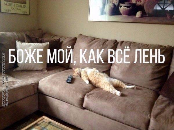    )