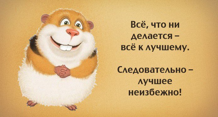   - 3  2016  14:11