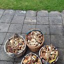 ���� Kazimieras, ����� - ��������� 24 ���� 2016 � ������ ������ ��������