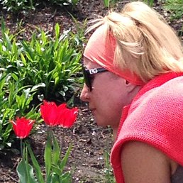 �����, ������