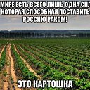 ���� �����, �����-���������, 63 ���� - ��������� 13 ���� 2016 � ������ ������ ��������
