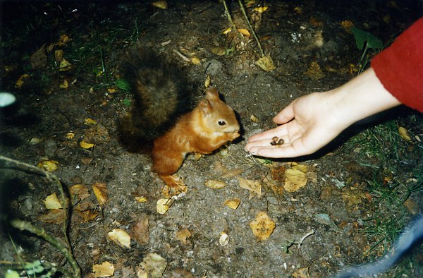 https://fotostrana.ru/away?to=/sl/7iy3