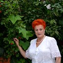 20.07.2016 �. �. ���������� �� ������� ������������