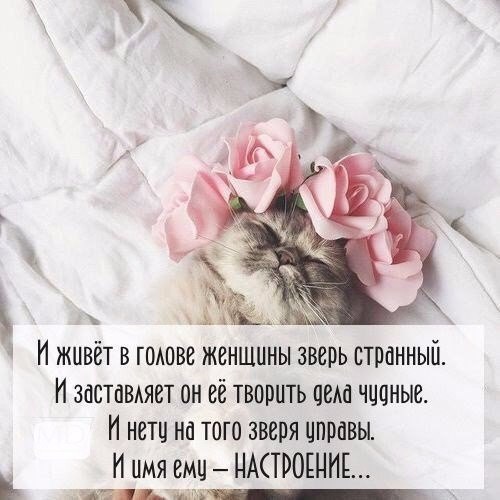 ���������� ������ - 23 ������ 2016 � 16:40