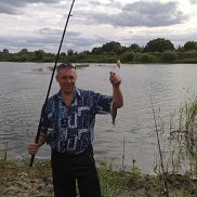 , 53 , 