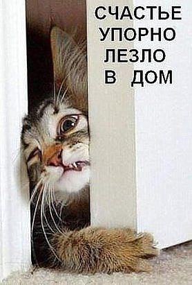  - ,  - 10  2016  22:22 - 5