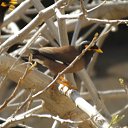 ���� ����, �����, 78 ��� - ��������� 25 ����� 2016 � ������ ���� ������������ ������