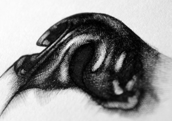 Art & Fun - 3  2016  21:32 - 5