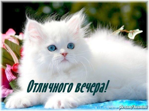     ... ........)))