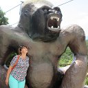 ���� �������, �����, 52 ���� - ��������� 26 ���� 2016 � ������ ���� ����������