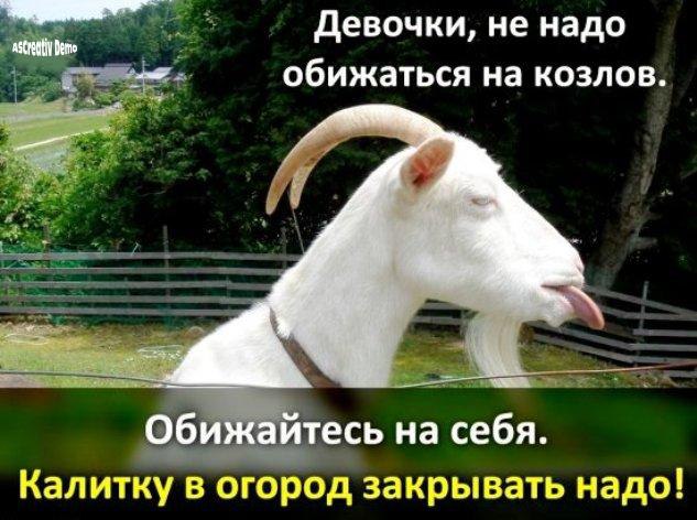 .https://fotostrana.ru/away?to=/sl/kxC2 - 9  2016  09:53