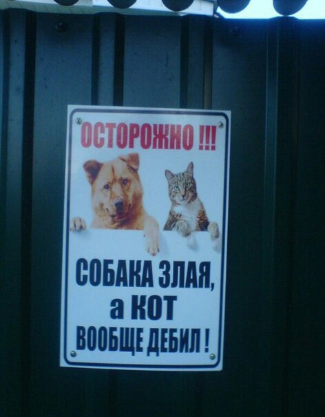  - 7  2016  15:07