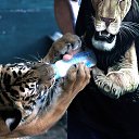 ���� ������, ������, 70 ��� - ��������� 27 ������ 2016 � ������ ��������