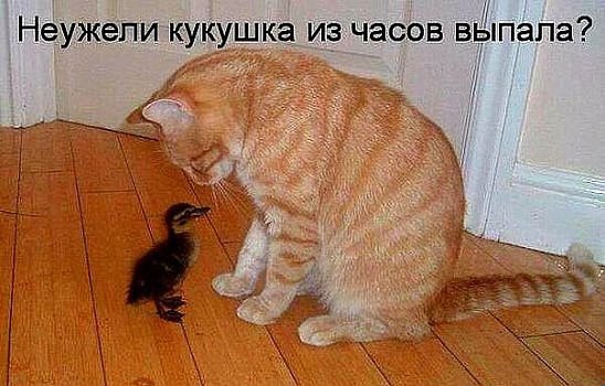 ***Victoria Viktorovna*** - 28  2016  17:38