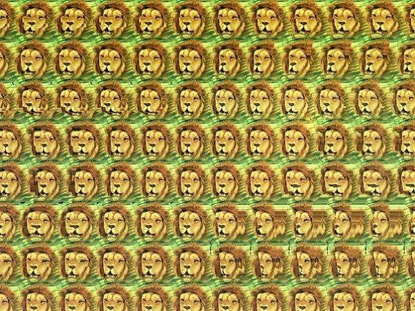 �������������� ������� ��������� �����.�������������� ������������ ����� ������������� �������, ... - 8