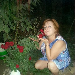 ���� ������, ��������� - ��������� 5 �������� 2016