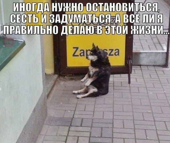    :-) - 30  2016  08:01