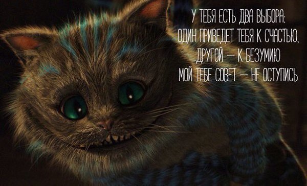 ������ �������� �������� - ���������� ���� - 9