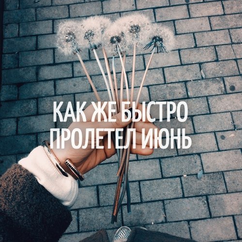  |   - 1  2016  11:55