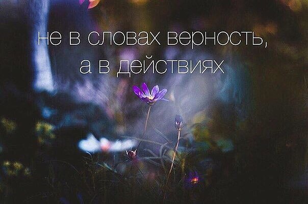 .https://fotostrana.ru/away?to=/sl/kxC2 - 8  2016  11:43