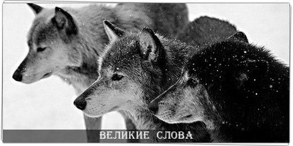 Не важно, кто напротив. Важно, кто рядом.