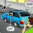 ���� �����, �������, 43 ���� - ��������� 3 �������� 2016 � ������ ���� ����������