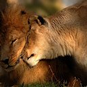 ���� ��������, ������, 62 ���� - ��������� 17 ����� 2016 � ������ ���� ����������