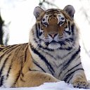 ���� �������, �������, 39 ��� - ��������� 23 ������ 2016 � ������ ���� ����������