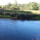 ���� �����, ������, 49 ��� - ��������� 17 ��� 2016 � ������ ������ ��������