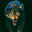 ���� ��������, ������, 61 ��� - ��������� 11 ���� 2016 � ������ ���� ����������