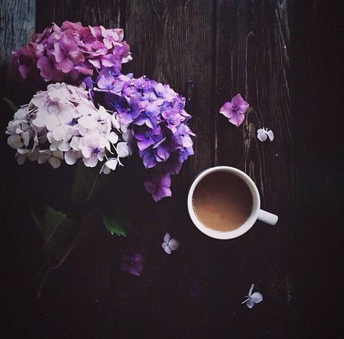 � �������� � ����. ��� ��� ���� � �����. �.�. ����� ��������� ���