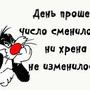 ���� ���� ����, �����-���������, 51 ��� - ��������� 22 ��� 2016 � ������ ������ ��������