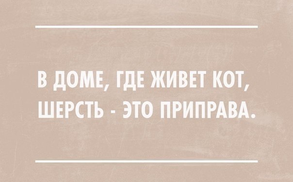  - 28  2016  16:09