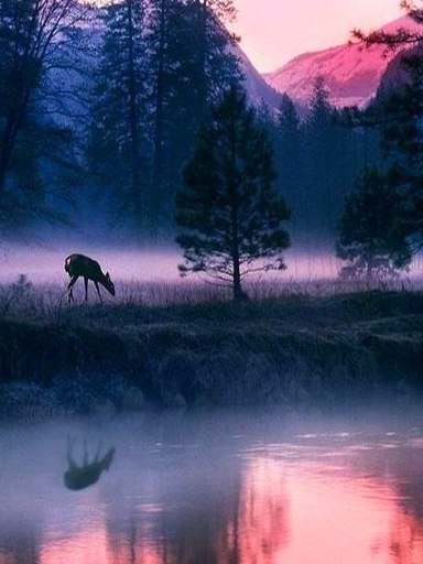 Art & Fun - 29  2016  23:34 - 5
