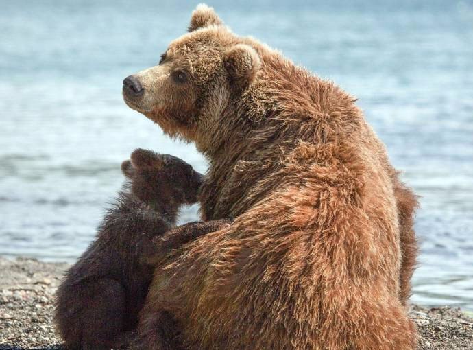      .#animal@travel.blog - 3