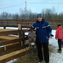 ���� �������, ���������, 53 ���� - ��������� 20 ����� 2016 � ������ �1�