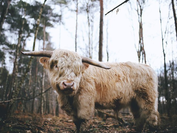 ������������ ���� ������ � ���� �� ����� ����������� ���� ��������. �� ��� ���������� ��������� ... - 4