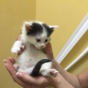 ���� ������, ������ - ��������� 16 ��� 2016 � ������ ������ ��������